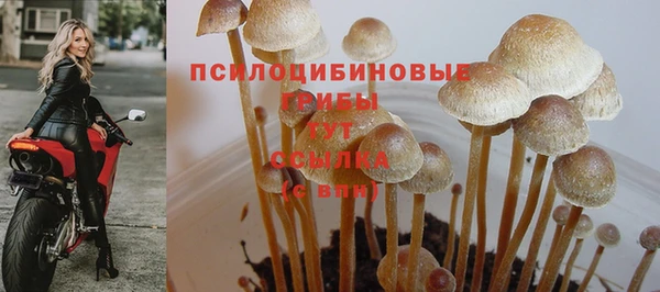 ECSTASY Армянск